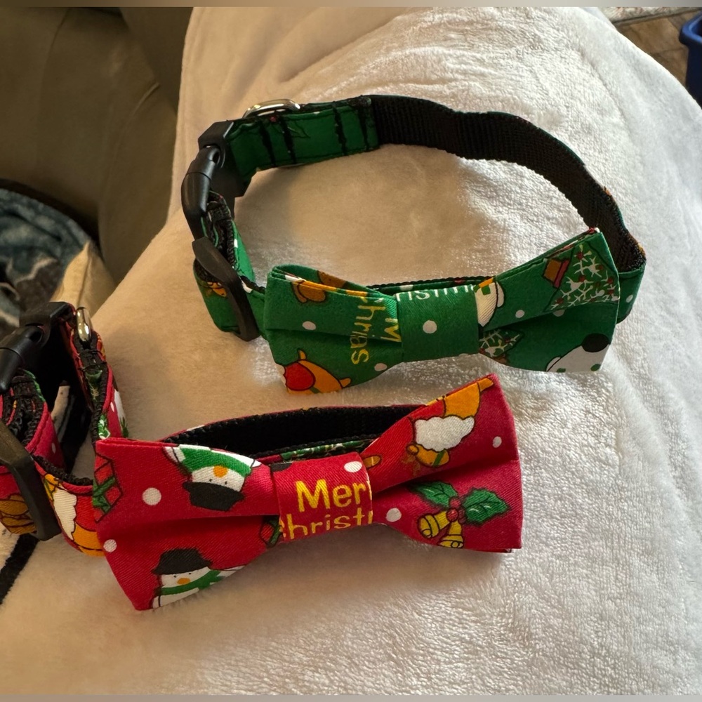 Cute small dog collars.